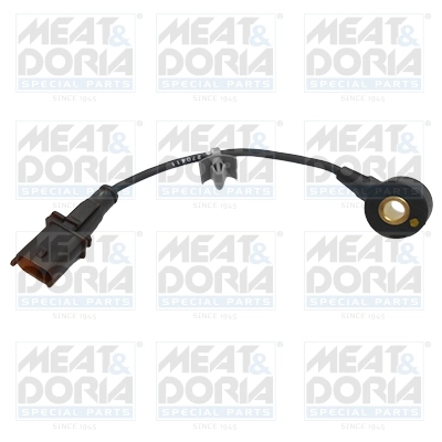 Knock Sensor
